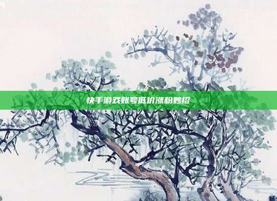 快手游戏账号低价涨粉妙招