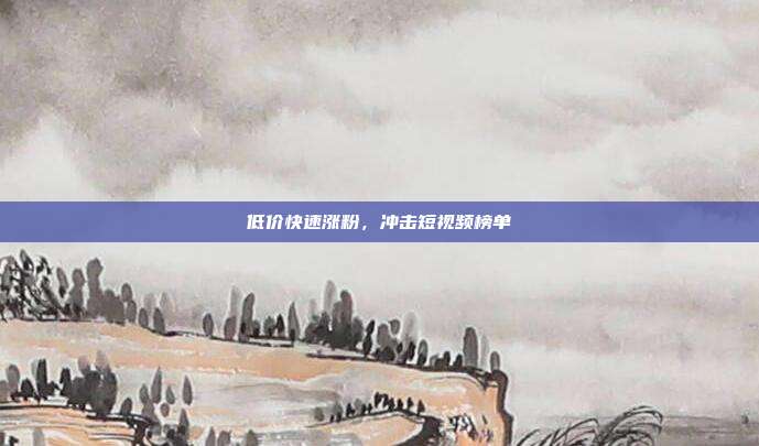低价快速涨粉，冲击短视频榜单