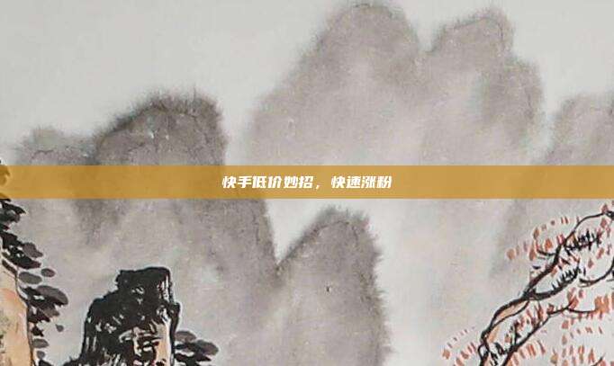 快手低价妙招，快速涨粉
