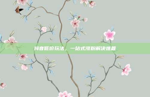 抖音低价玩法，一站式涨粉解决难题