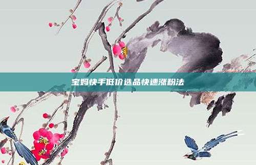 宝妈快手低价选品快速涨粉法