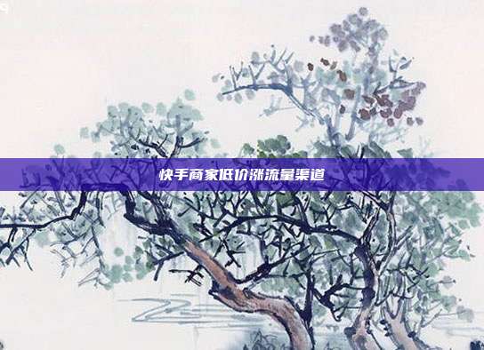 快手商家低价涨流量渠道