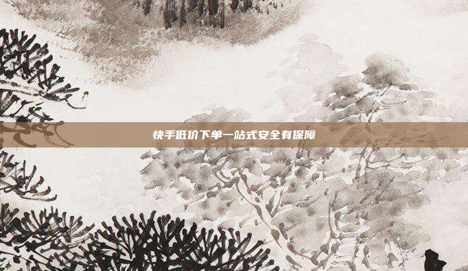 快手低价下单一站式安全有保障