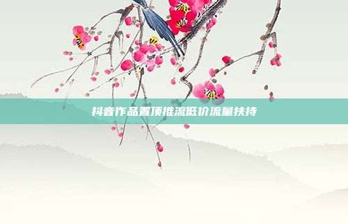 抖音作品置顶推流低价流量扶持