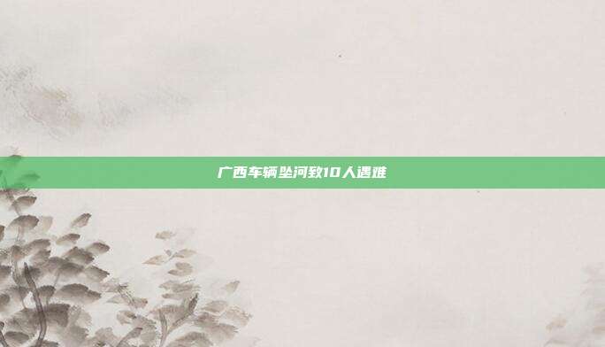 广西车辆坠河致10人遇难