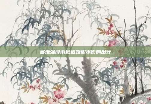 多地强降雨致道路积水影响出行