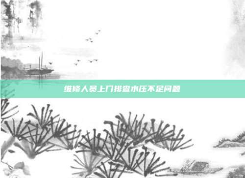 维修人员上门排查水压不足问题
