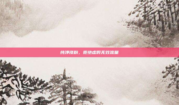 纯净涨粉，拒绝虚假无效流量