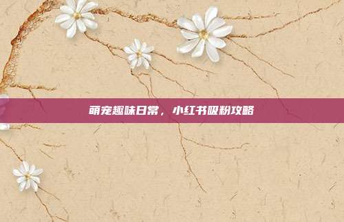 萌宠趣味日常，小红书吸粉攻略