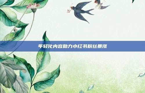 年轻化内容助力小红书粉丝暴涨