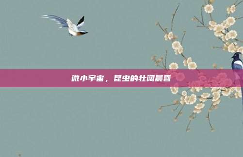 微小宇宙,昆虫的壮阔晨昏