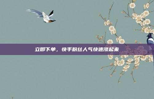 立即下单，快手粉丝人气快速涨起来