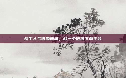 快手人气低的原因，缺一个低价下单平台