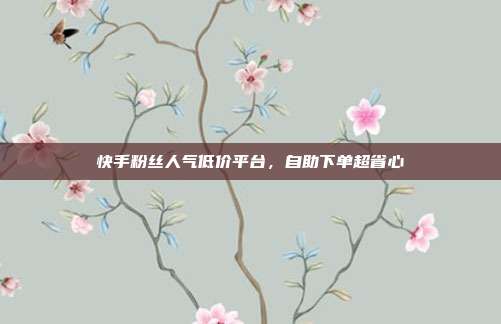快手粉丝人气低价平台，自助下单超省心