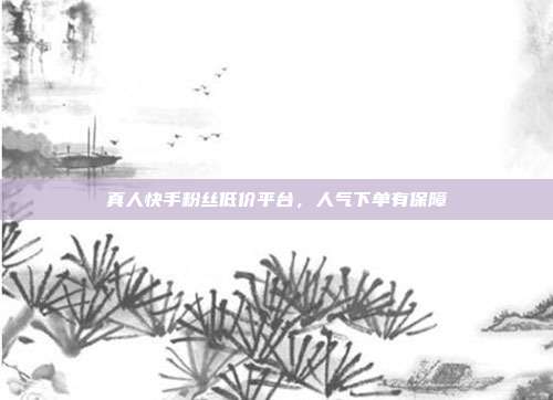 真人快手粉丝低价平台，人气下单有保障