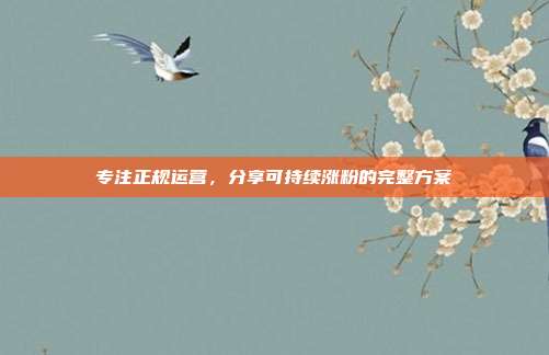 专注正规运营，分享可持续涨粉的完整方案