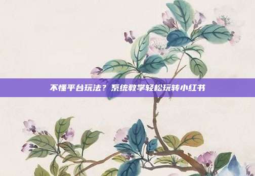 不懂平台玩法？系统教学轻松玩转小红书