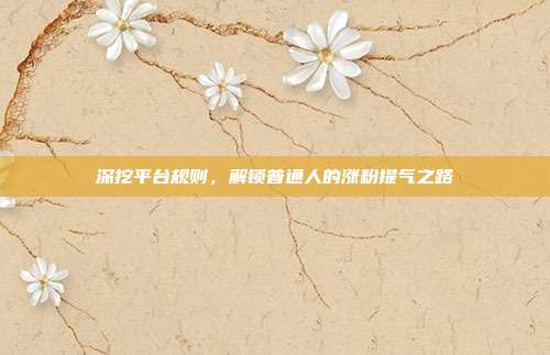深挖平台规则，解锁普通人的涨粉提气之路