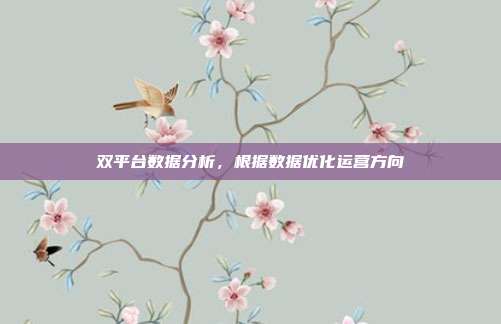 双平台数据分析，根据数据优化运营方向