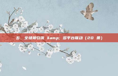 五、全场景引流 & 多平台联动（20 条）