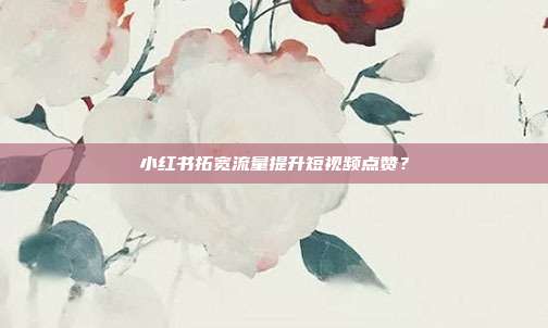 小红书拓宽流量提升短视频点赞？