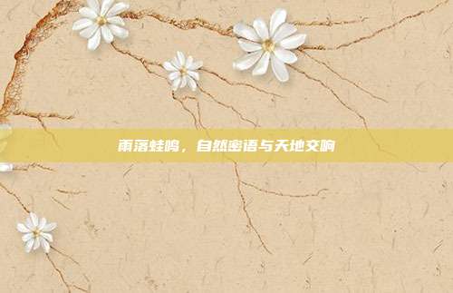 雨落蛙鸣，自然密语与天地交响