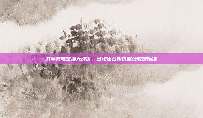 共享充电宝漫天涨价，多地出台限价规范收费标准
