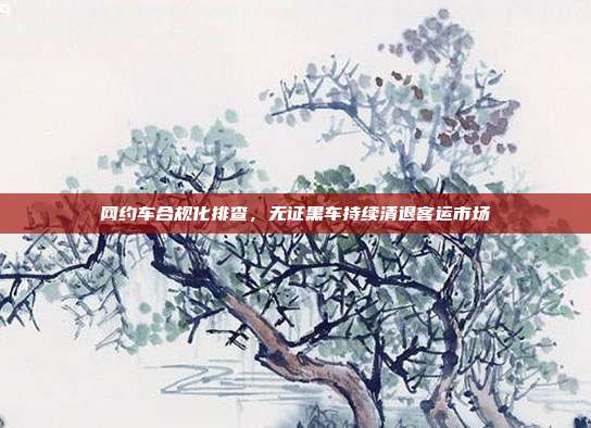 网约车合规化排查，无证黑车持续清退客运市场