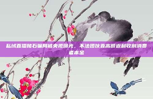 私域直播赌石骗局被央视曝光，不法团伙靠高额返利收割消费者本金