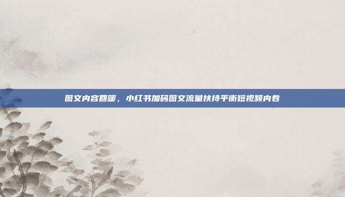 图文内容回暖，小红书加码图文流量扶持平衡短视频内卷