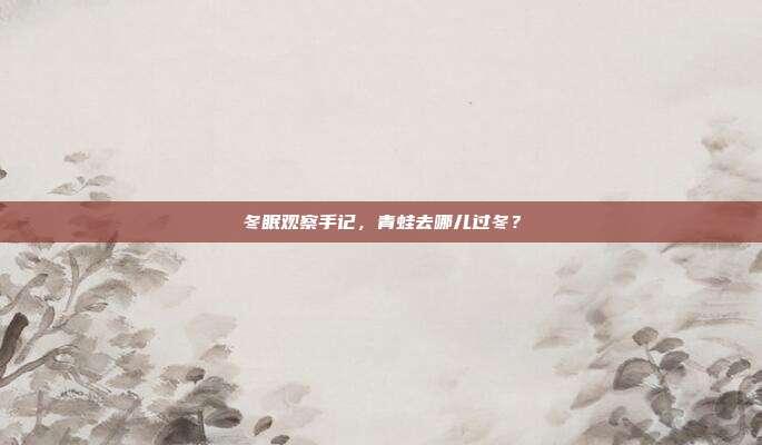 冬眠观察手记，青蛙去哪儿过冬？