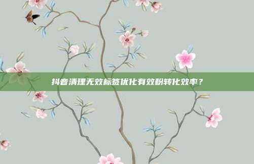 抖音清理无效标签优化有效粉转化效率？