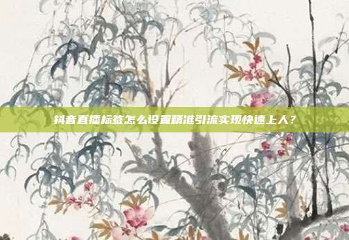 抖音直播标签怎么设置精准引流实现快速上人？