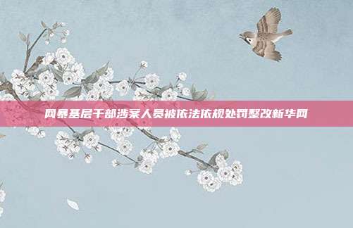 网暴基层干部涉案人员被依法依规处罚整改新华网