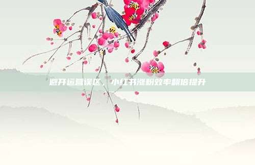 避开运营误区，小红书涨粉效率翻倍提升