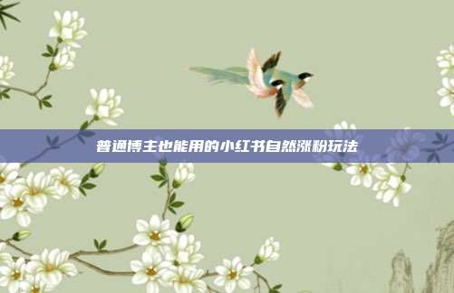 普通博主也能用的小红书自然涨粉玩法