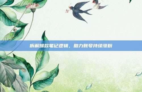 拆解爆款笔记逻辑，助力账号持续涨粉